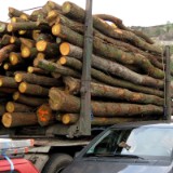 0909F 159 Faehre Bingen